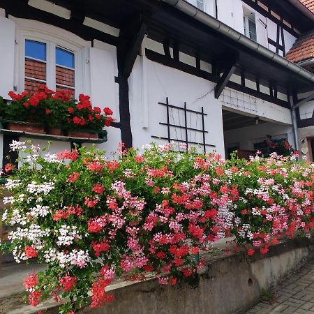 Gite Rue De L'Ange アンスパック エクステリア 写真